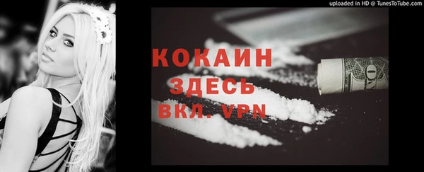 COCAINE Бородино